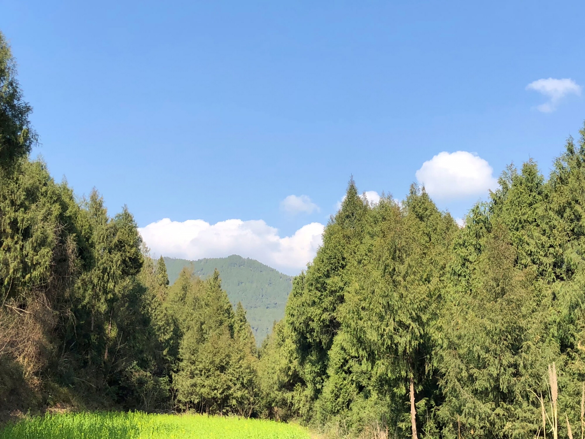 升钟湖风景区旅行图片 3