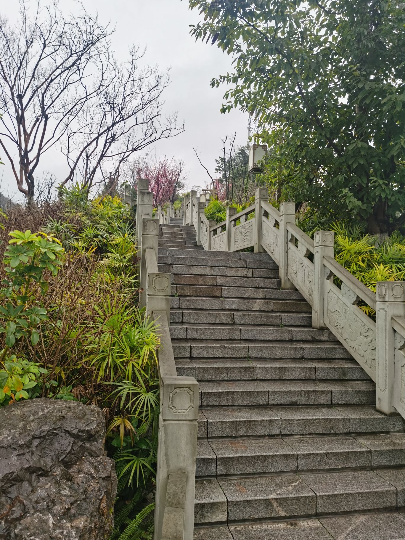 舞凤山旅行图片 3