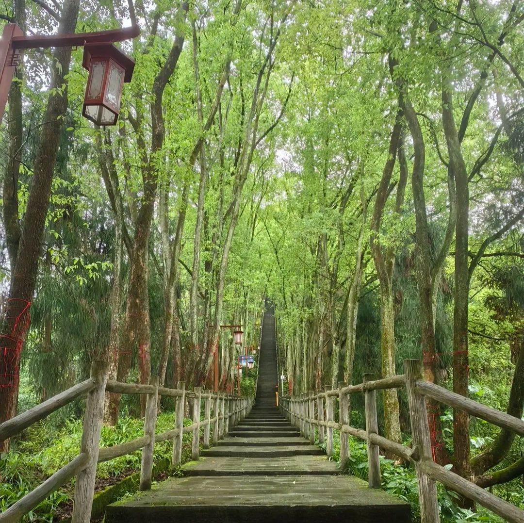 真佛山风景名胜区旅行图片 3