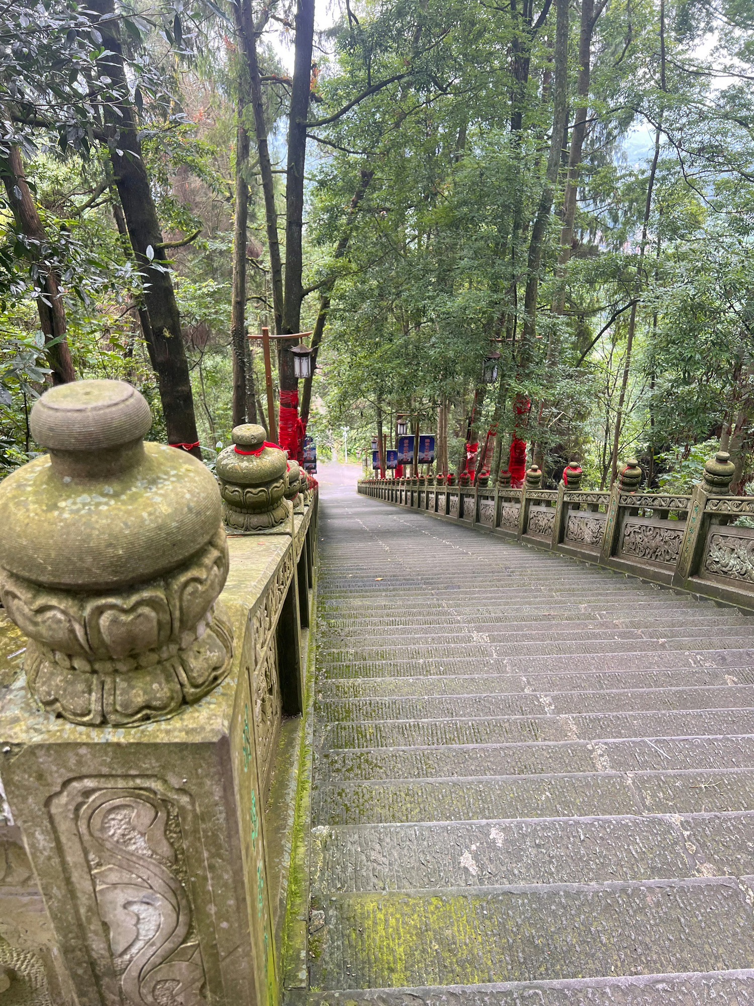 真佛山风景名胜区旅行图片 1