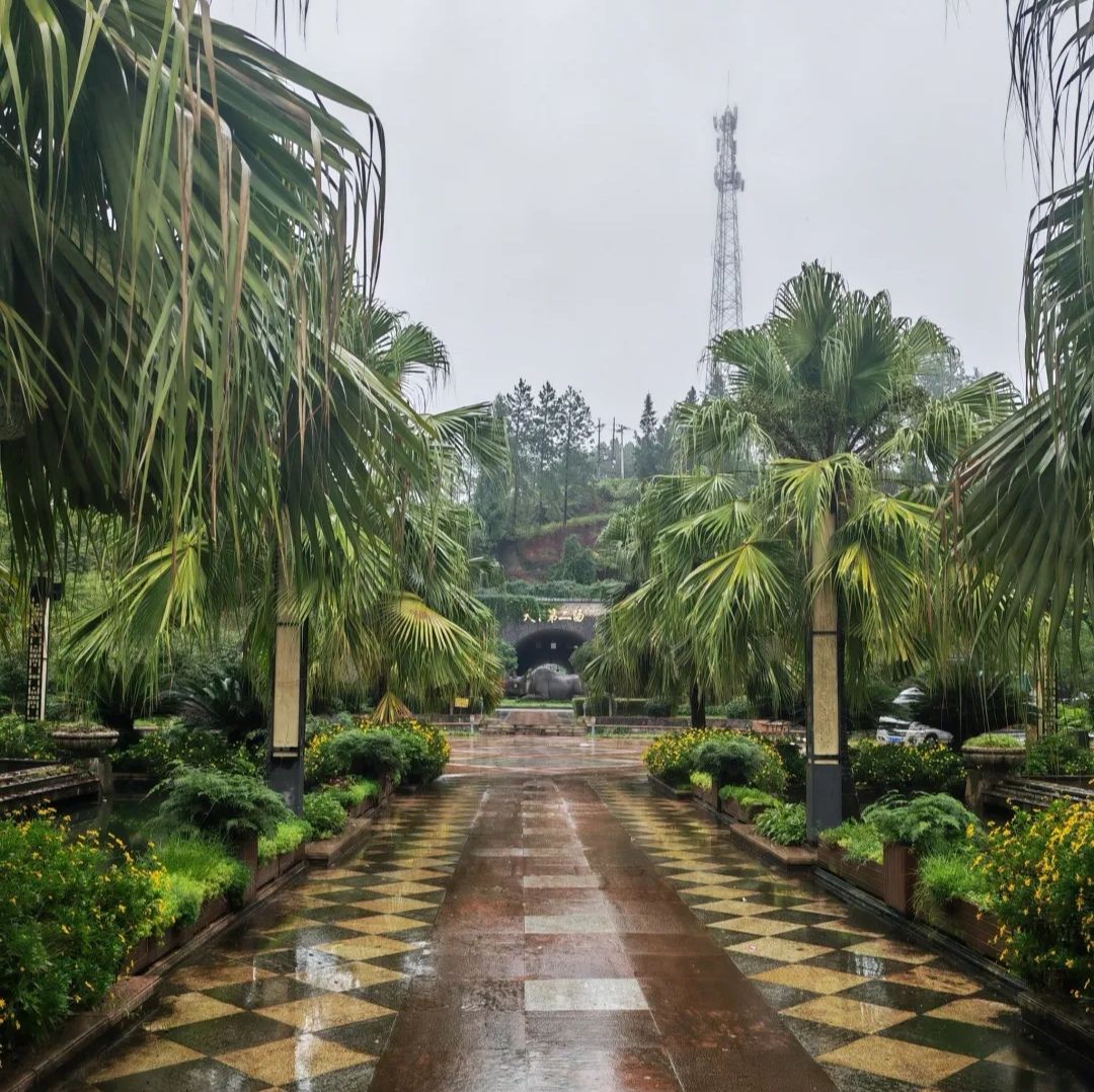 开江飞云温泉旅行图片 2