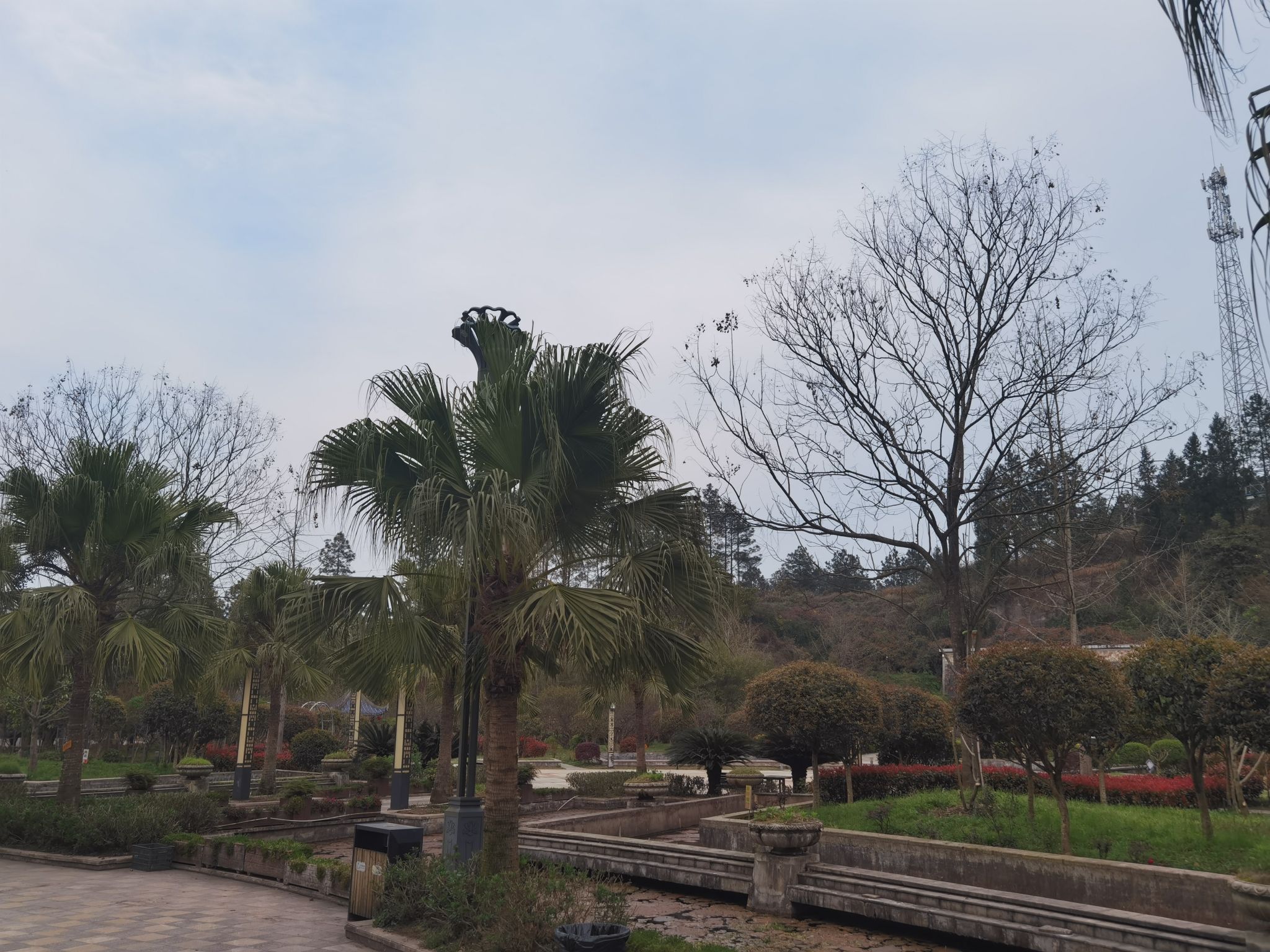 开江飞云温泉旅行图片 3