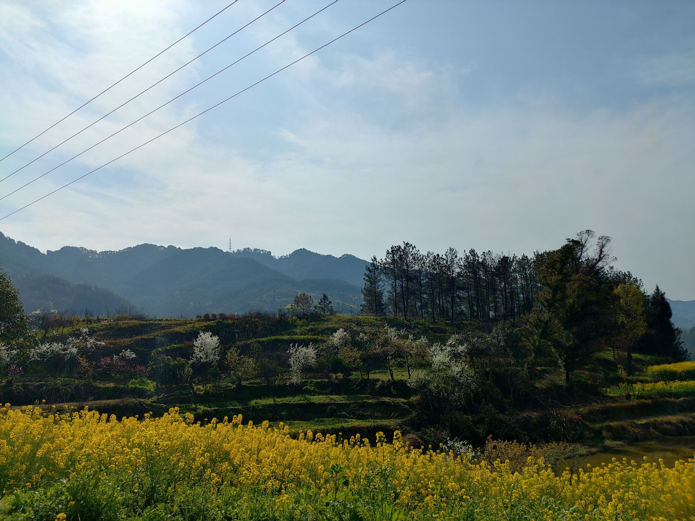 铁山国家森林公园