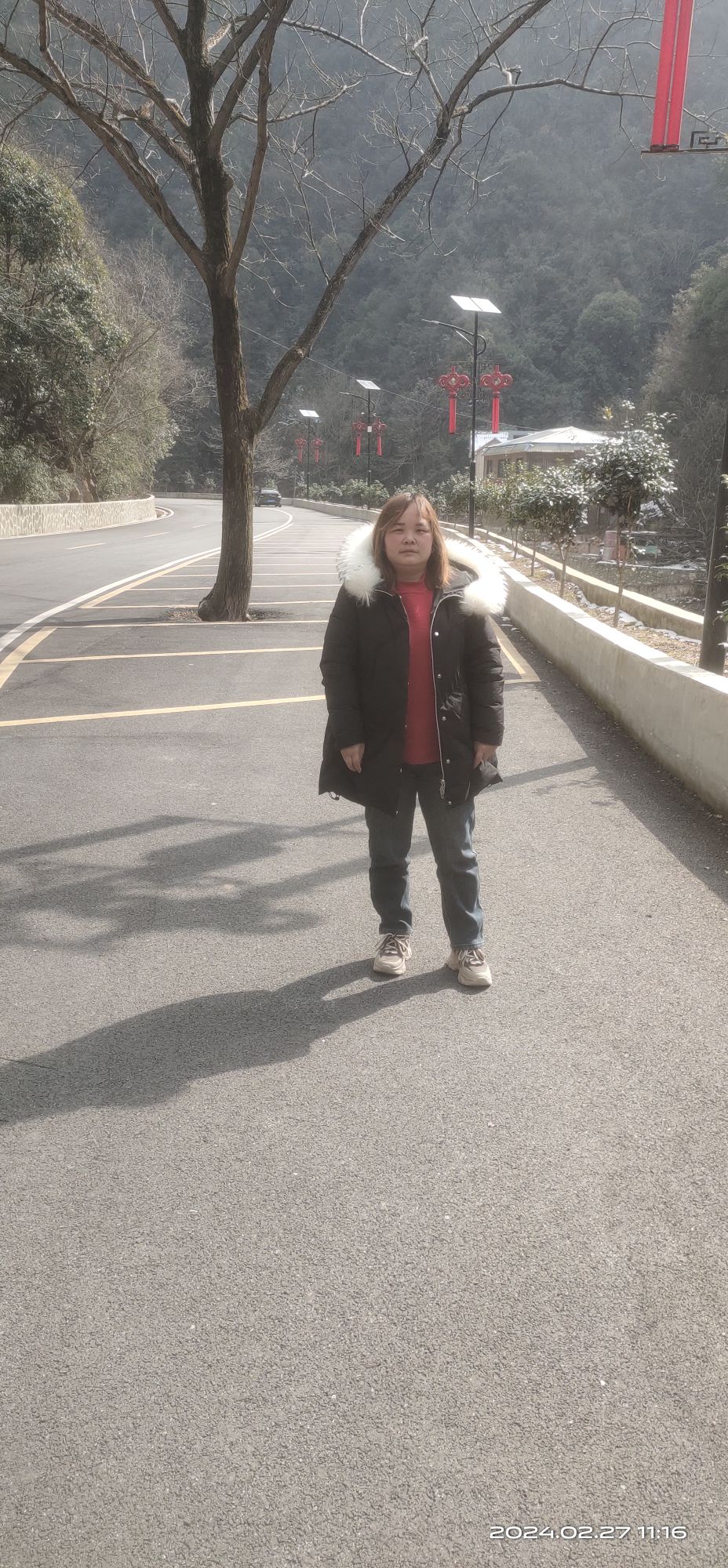 铁山国家森林公园旅行图片 1
