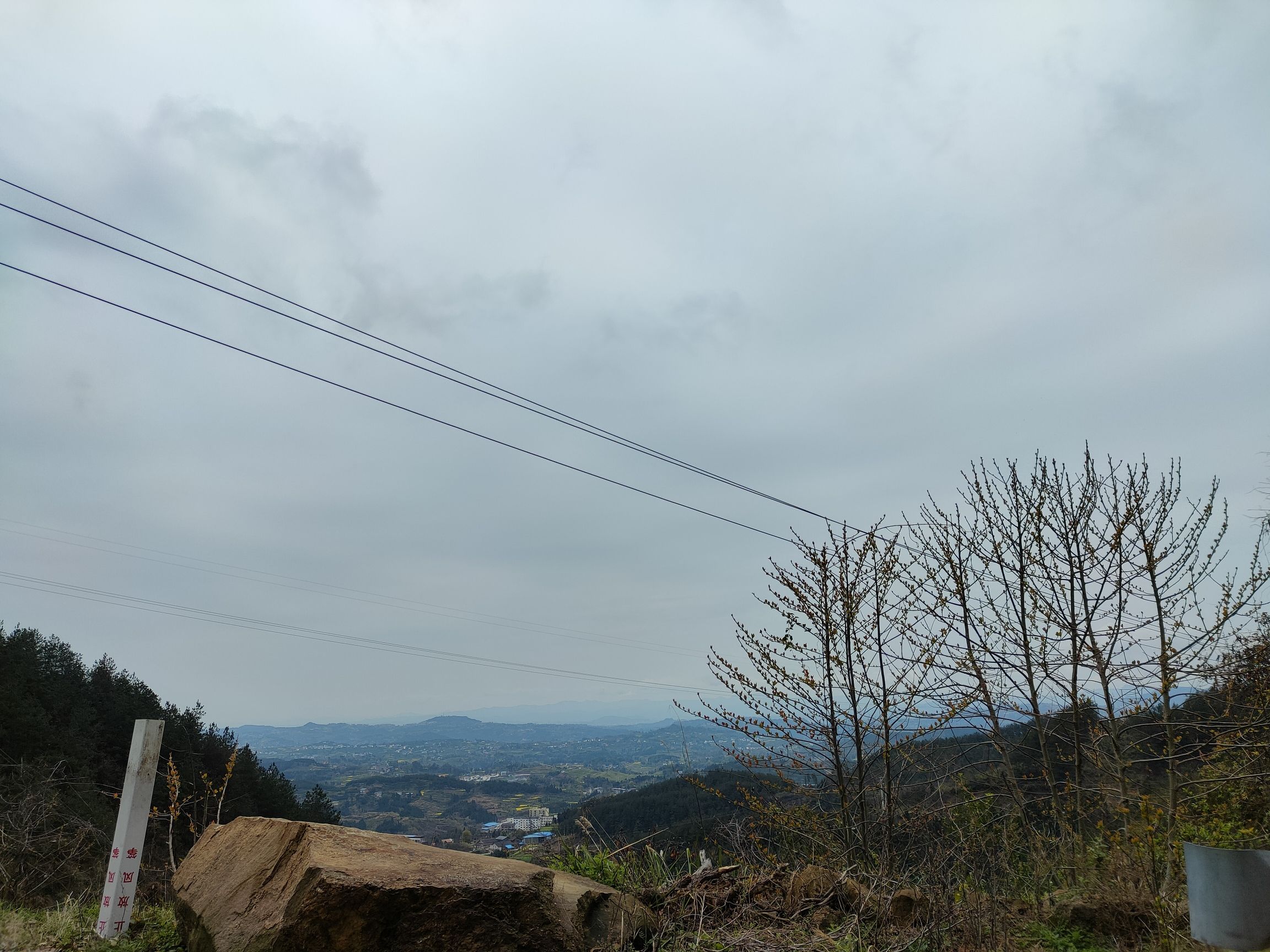 铁山国家森林公园旅行图片 1