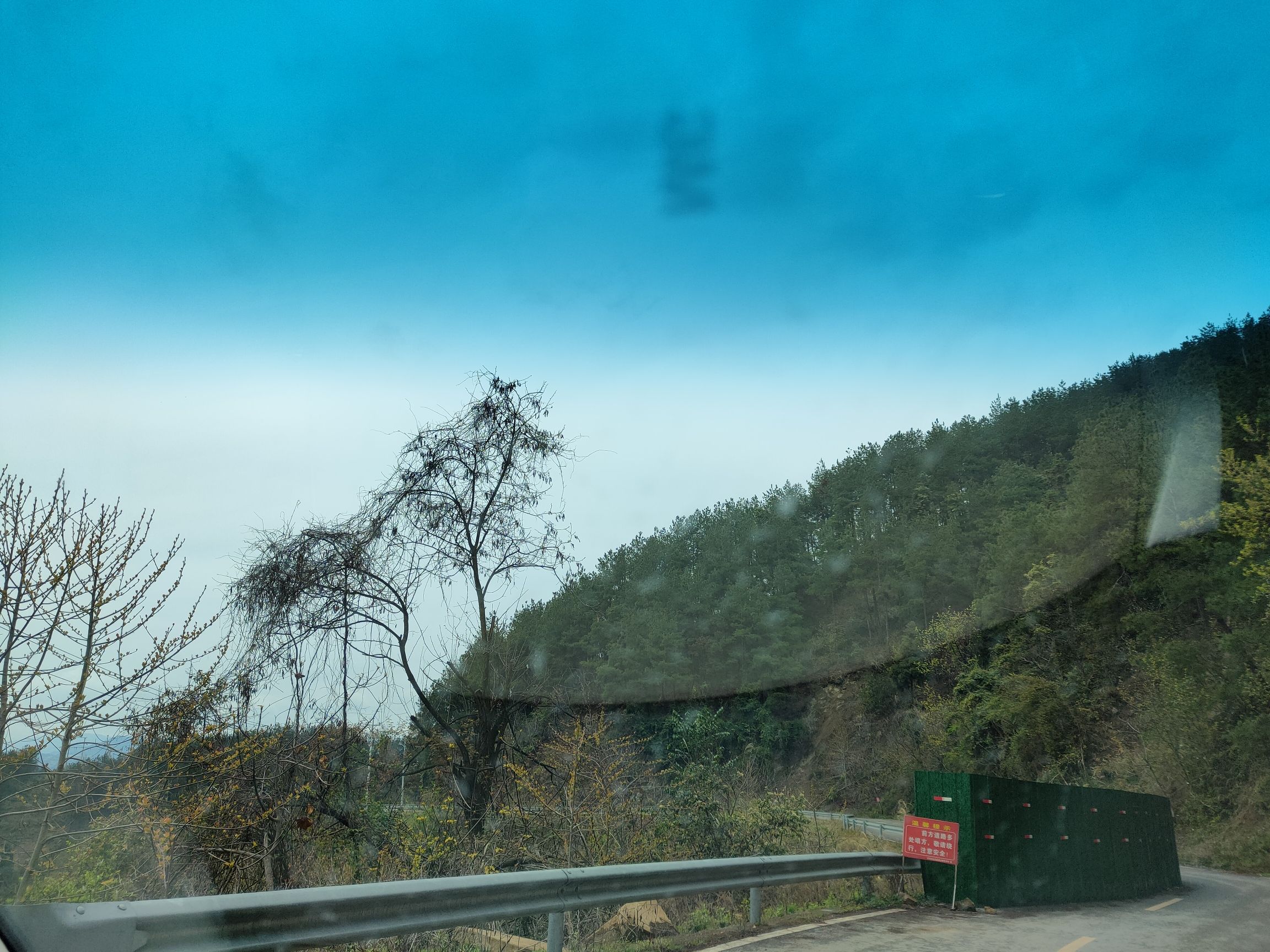铁山国家森林公园旅行图片 2