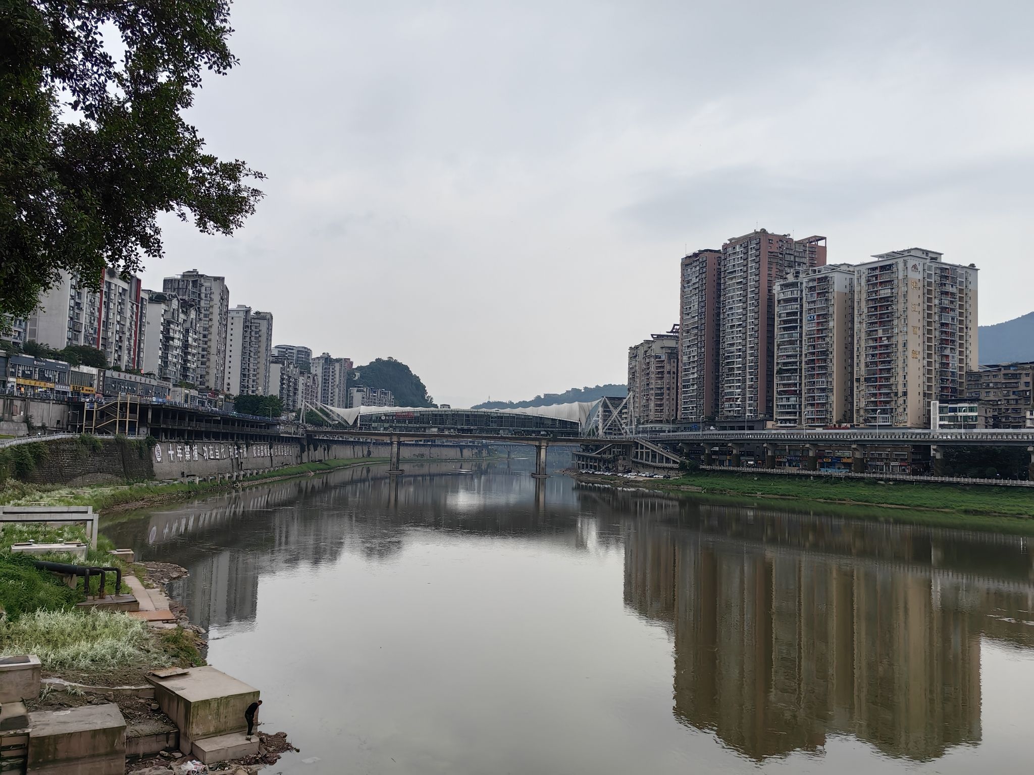 仙鹤园旅行图片 2