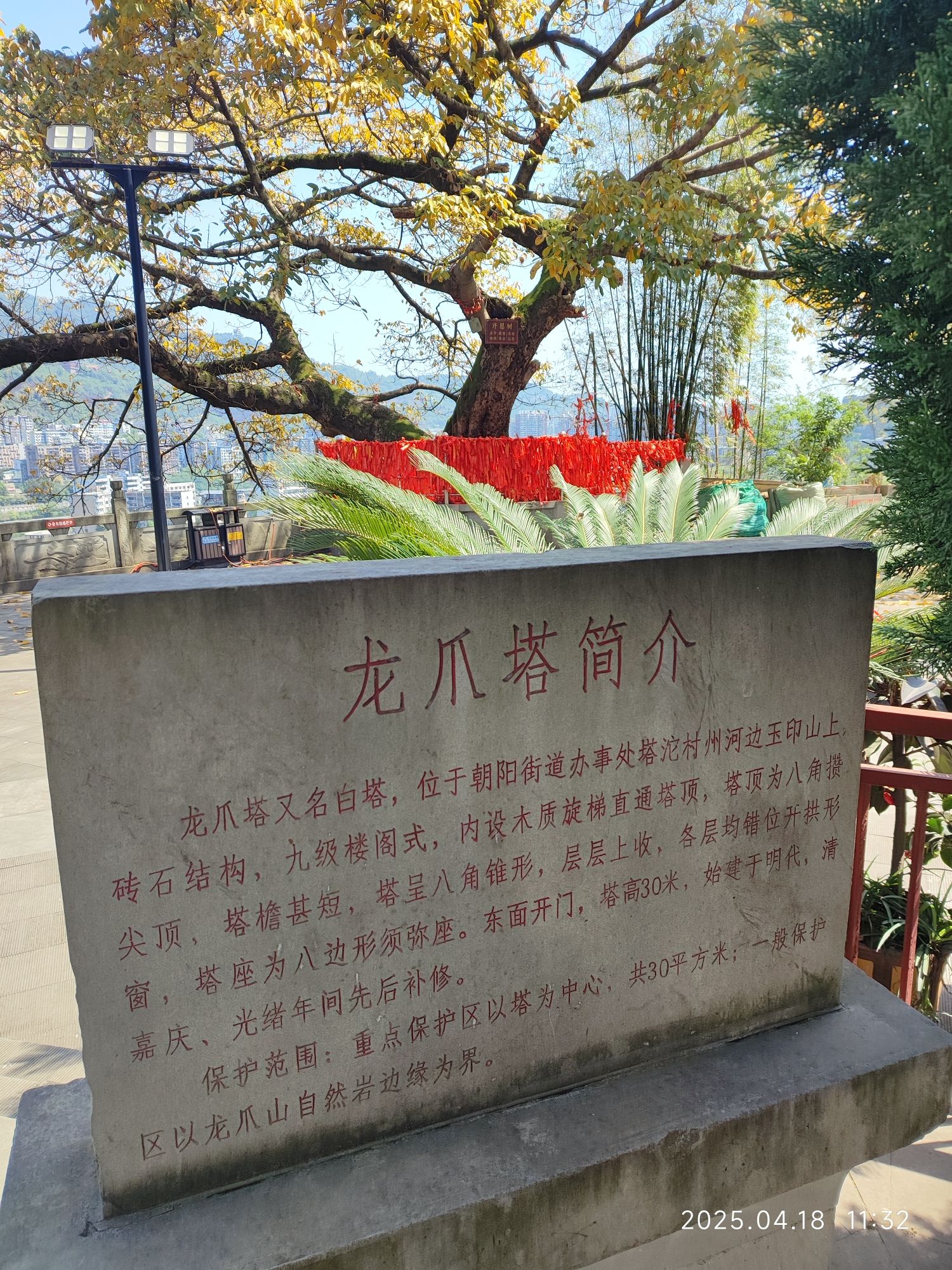 龙爪塔实景照片
