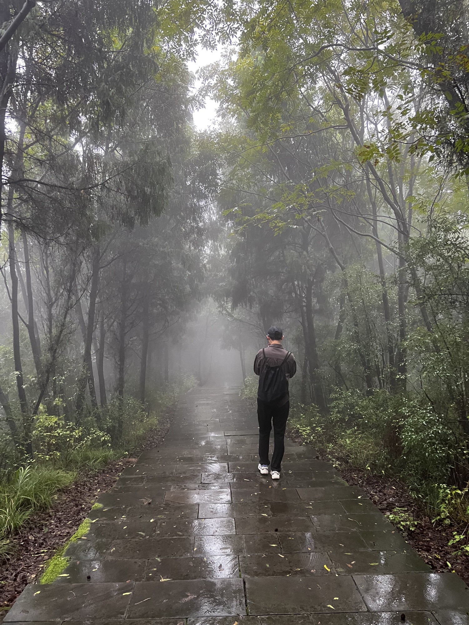 凤凰山公园旅行图片 1