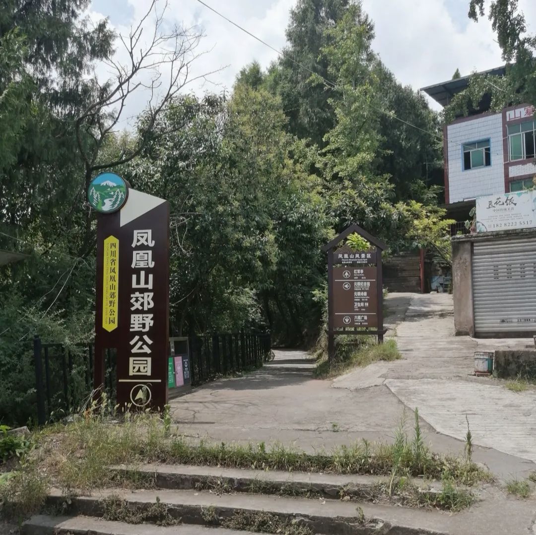 凤凰山公园旅行图片 3