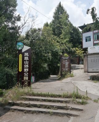 凤凰山公园旅行图片 3