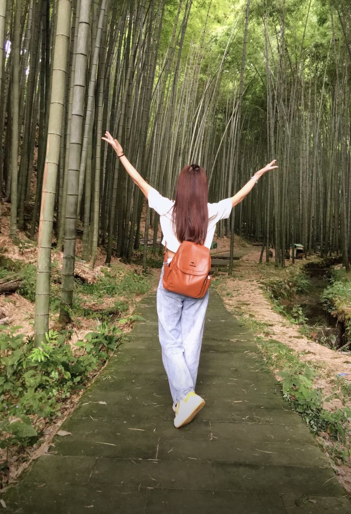 峨城山旅行图片 1