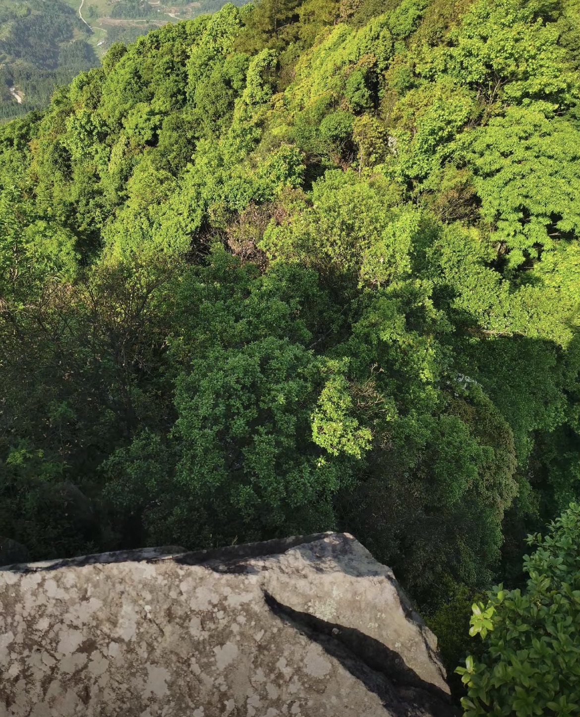 峨城山旅行图片 3