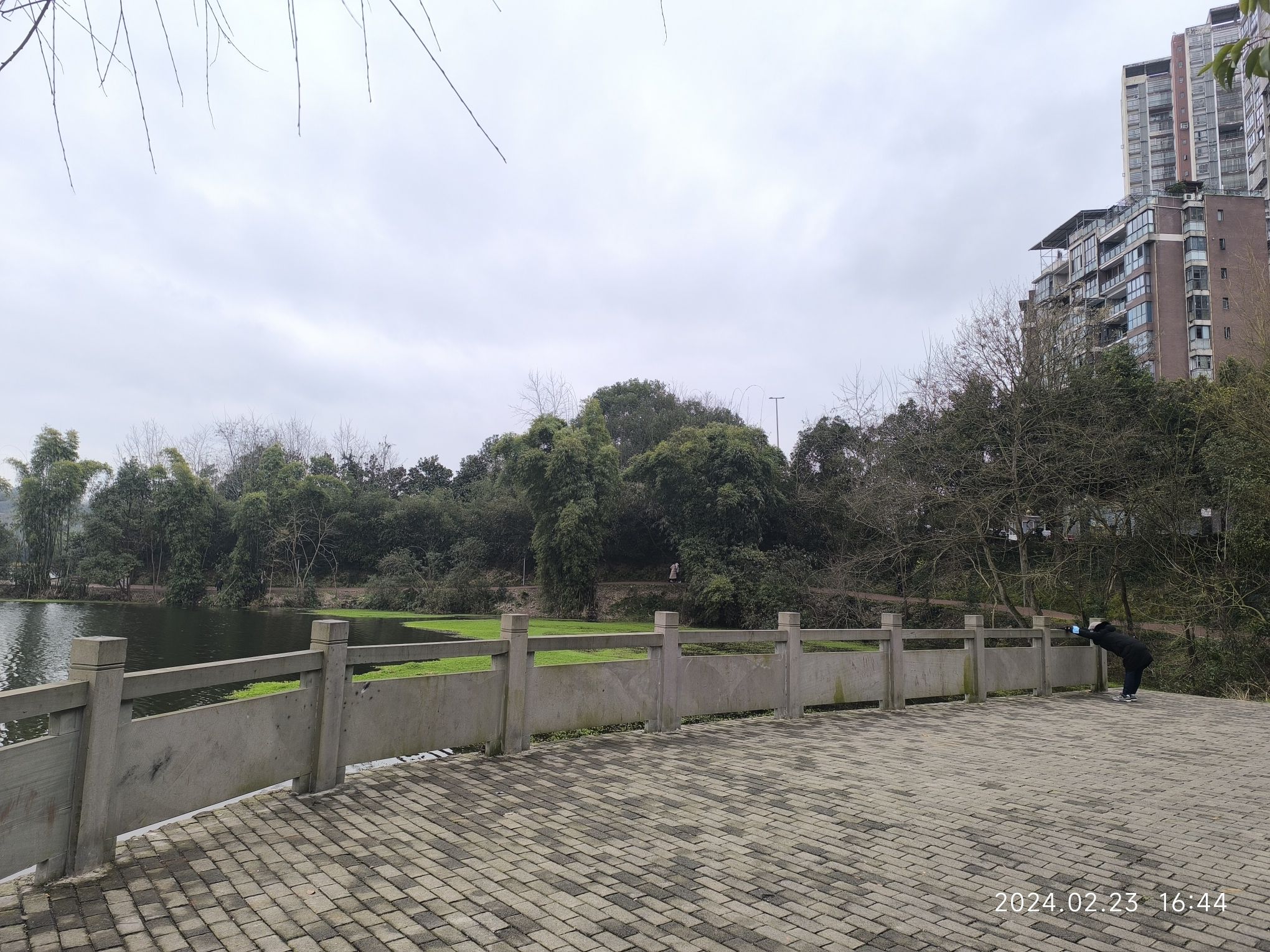 东湖公园旅行图片 2
