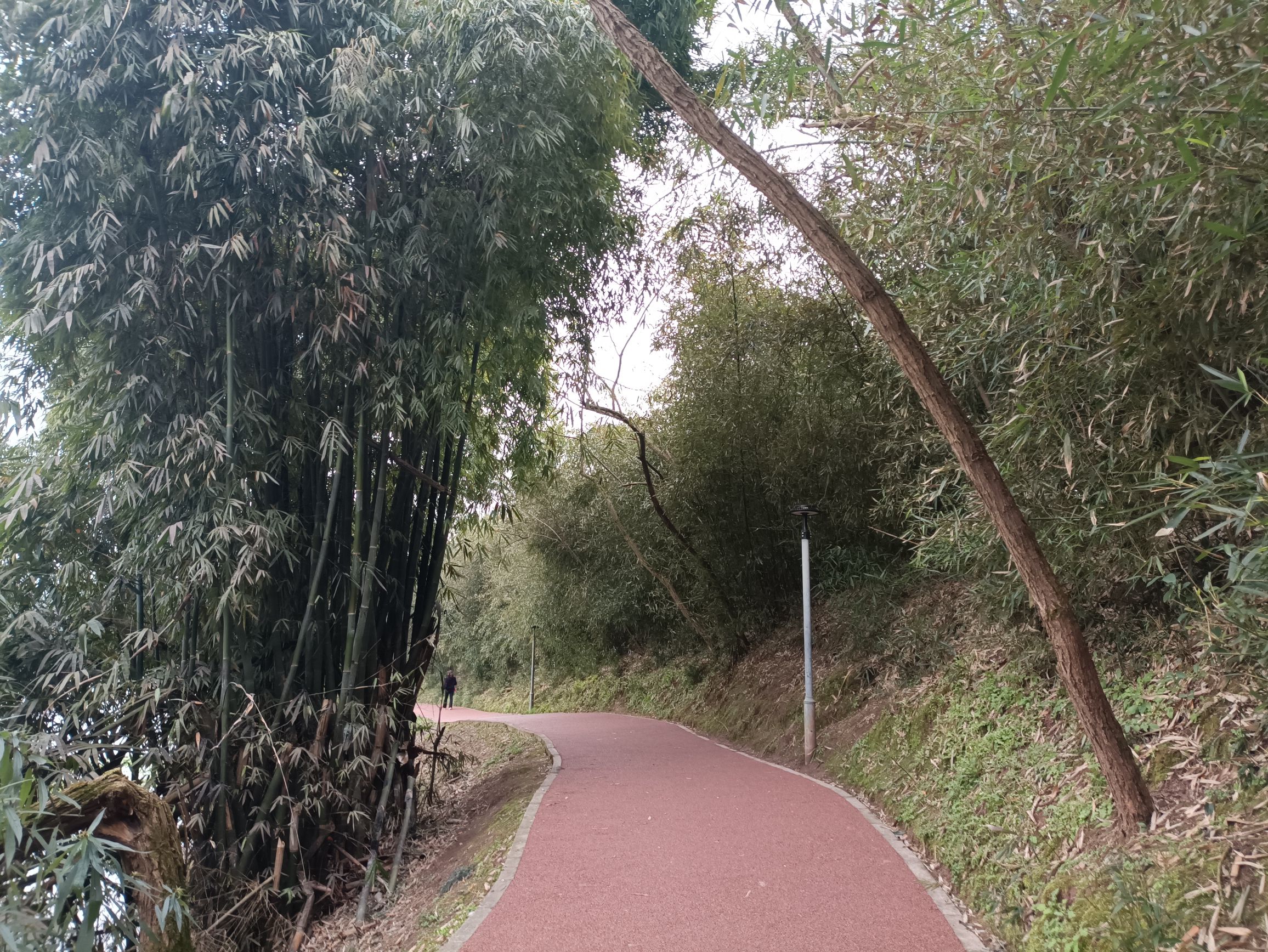 东湖公园旅行图片 3