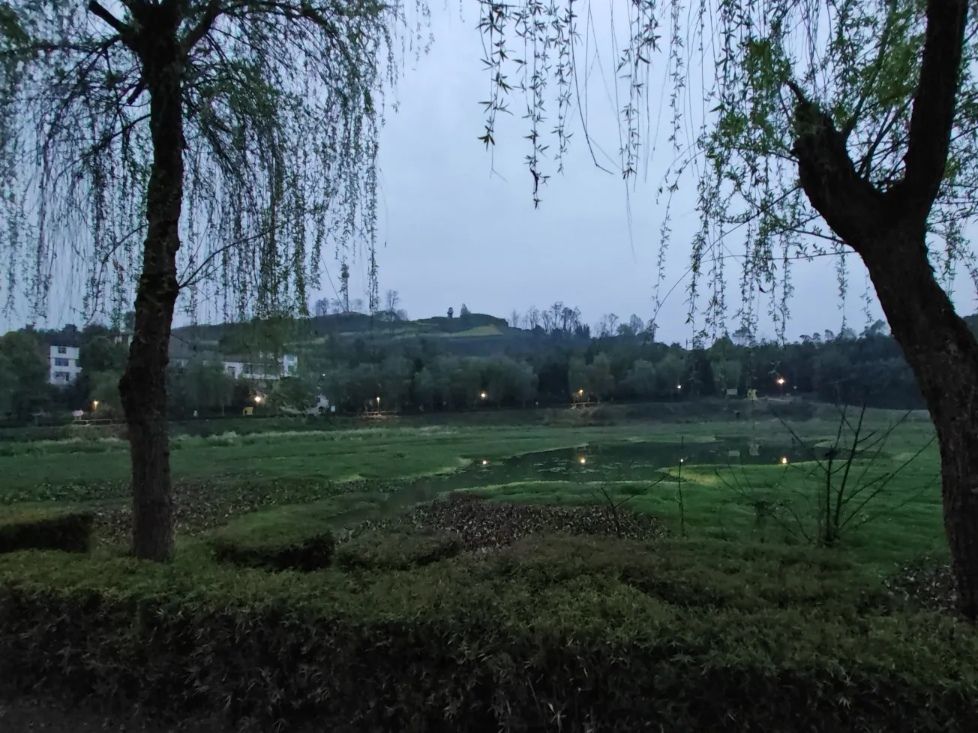东湖公园旅行图片 3