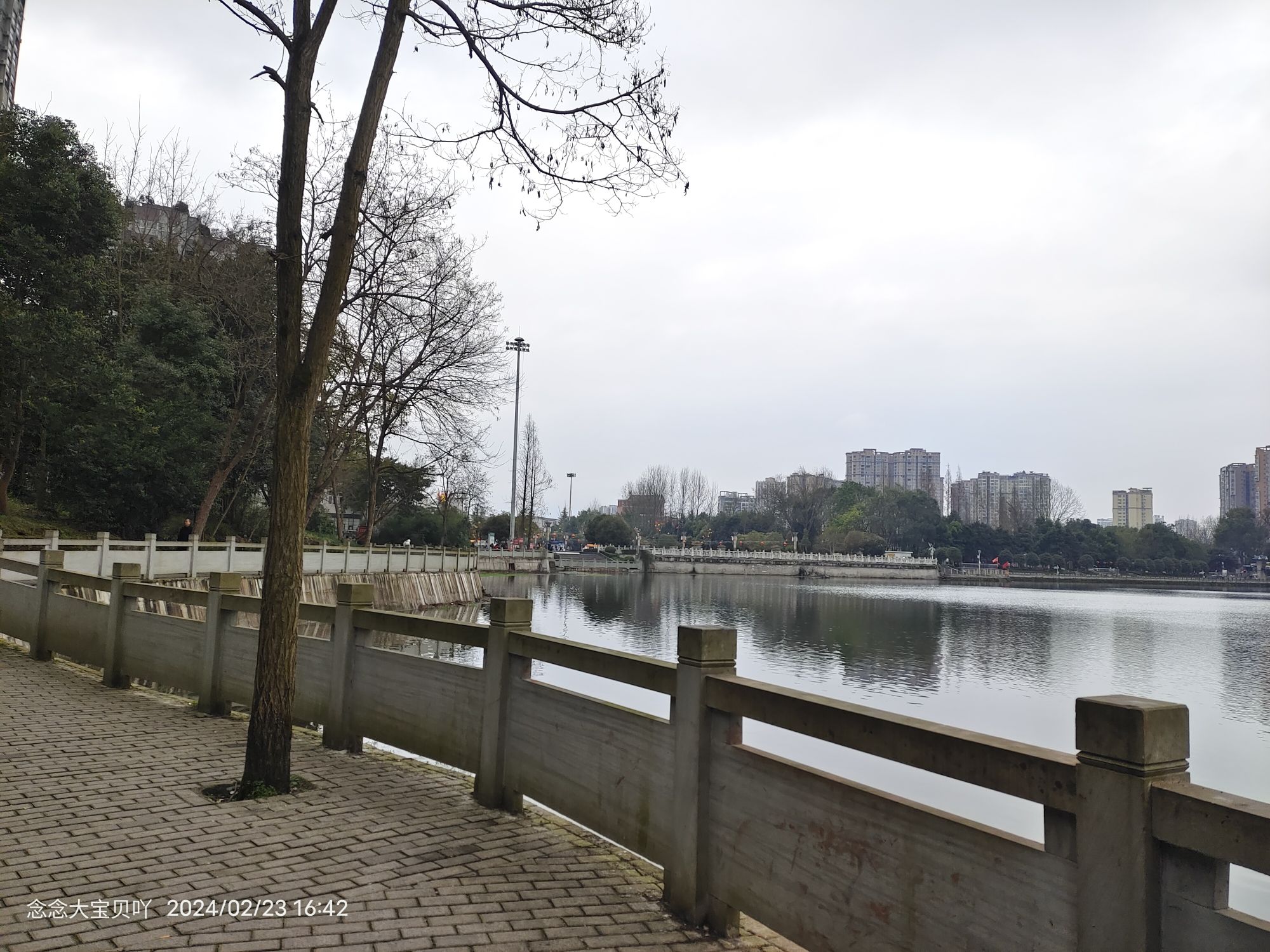 东湖公园旅行图片 2
