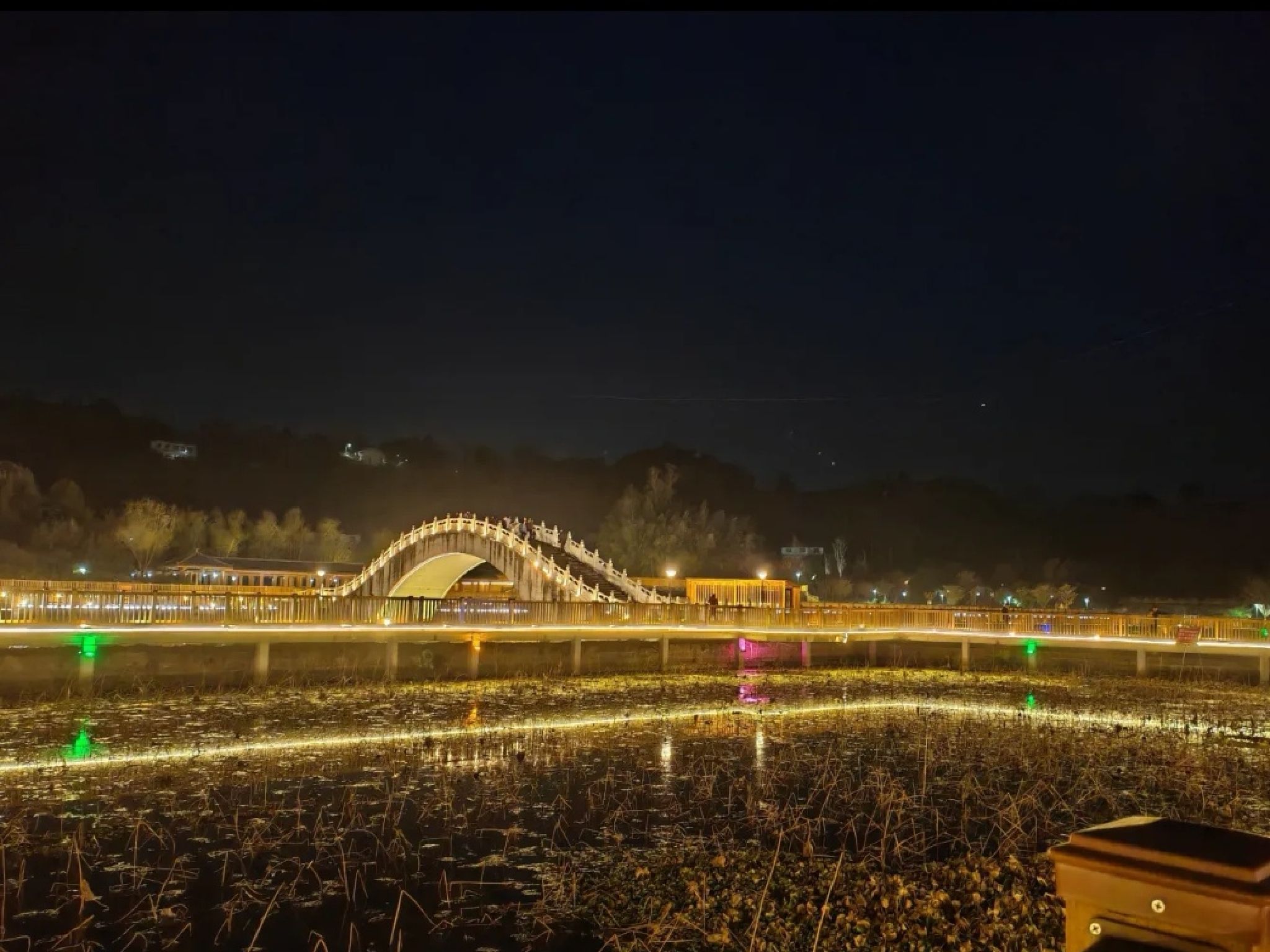 东湖公园旅行图片 1
