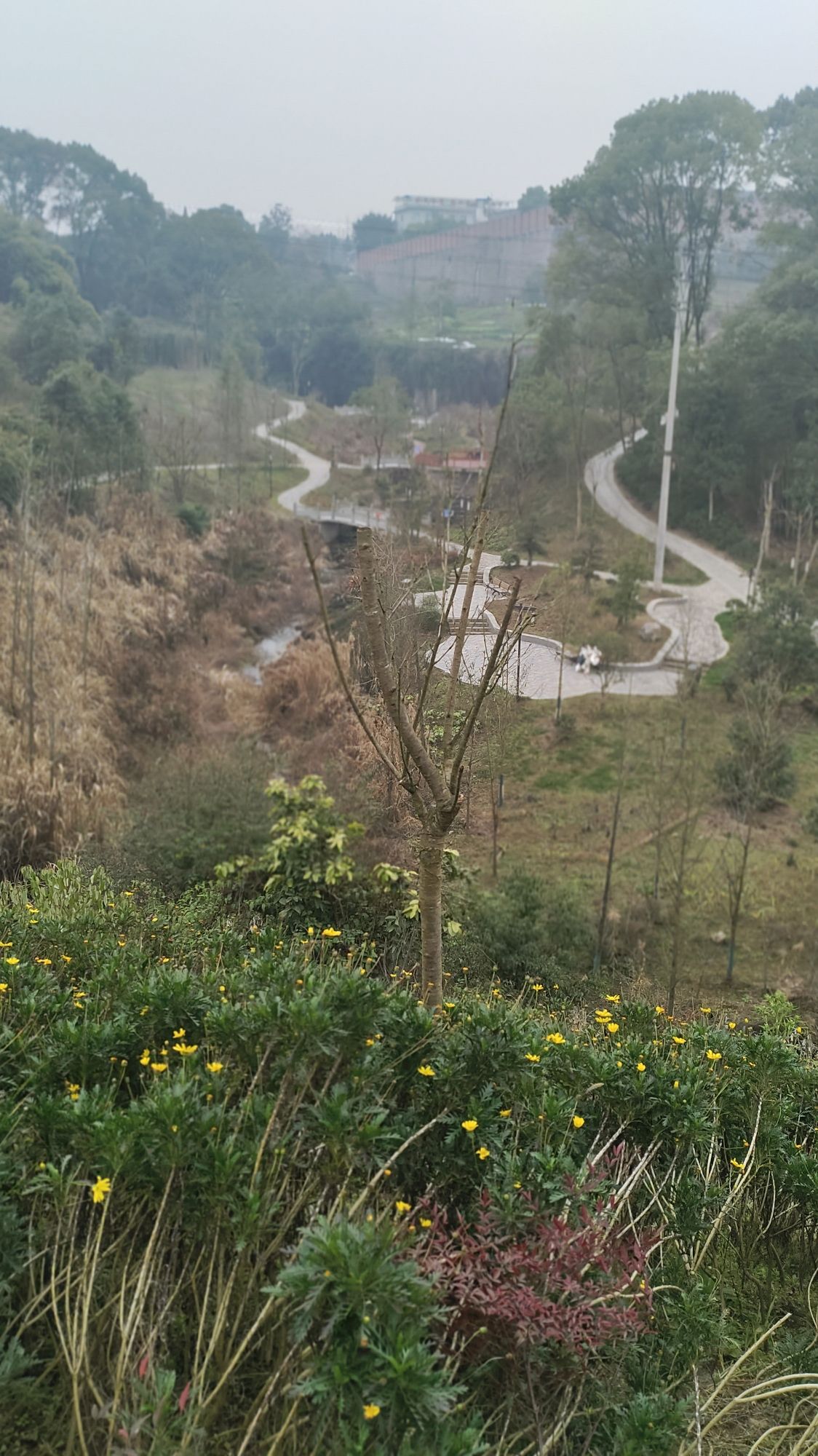 东湖公园旅行图片 1