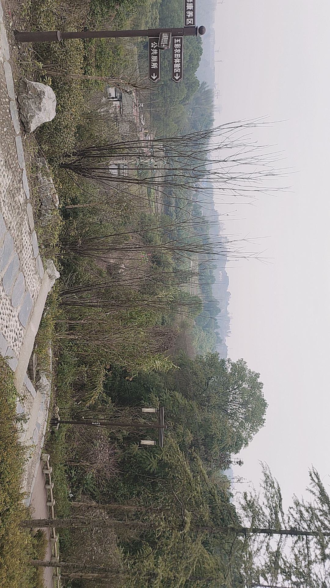 东湖公园旅行图片 2