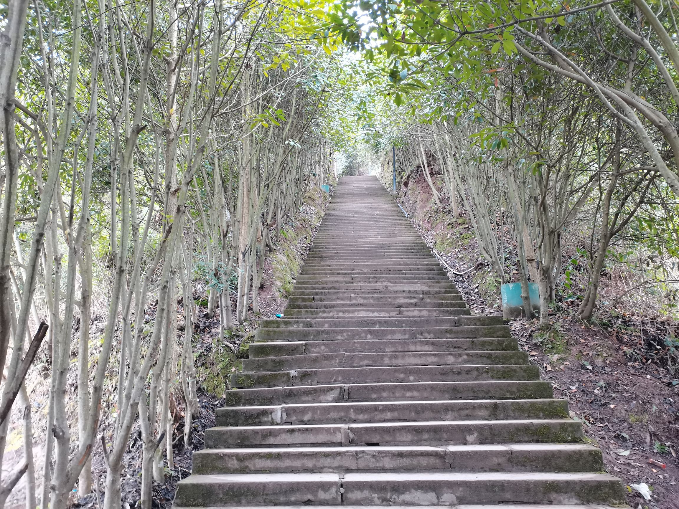 笔架山旅行图片 3