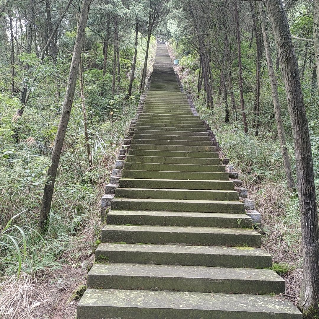 笔架山旅行图片 1