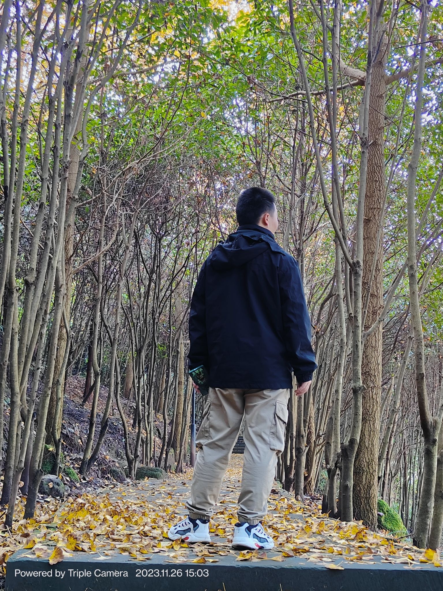 笔架山旅行图片 1