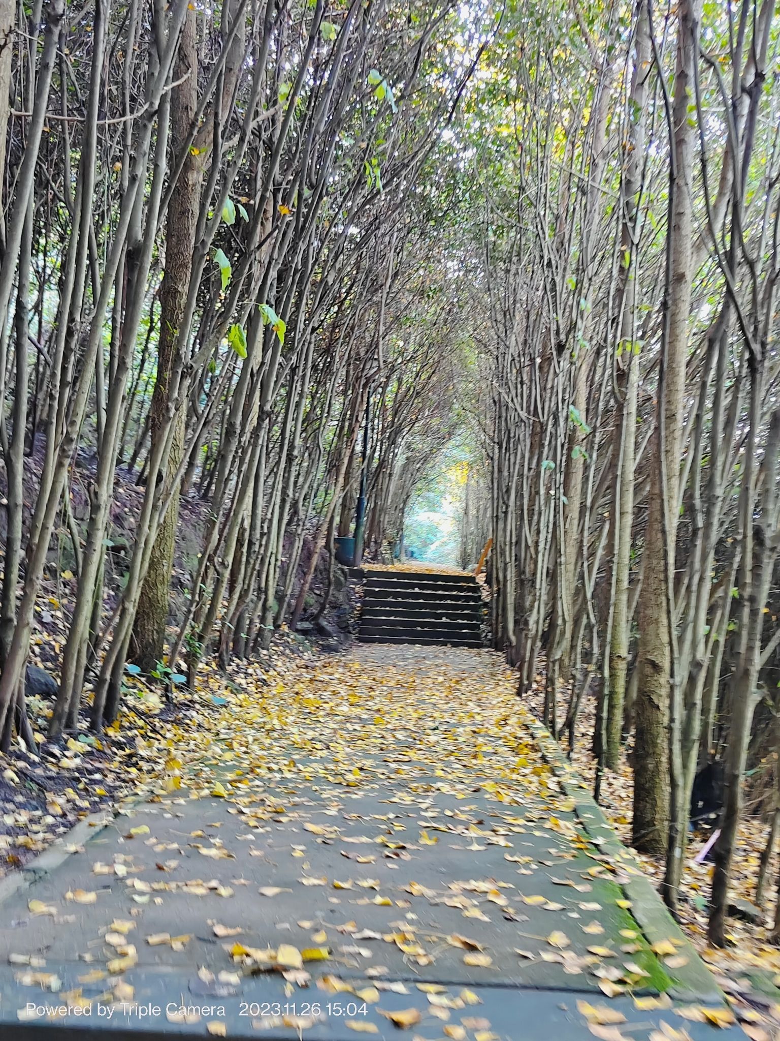 笔架山旅行图片 2