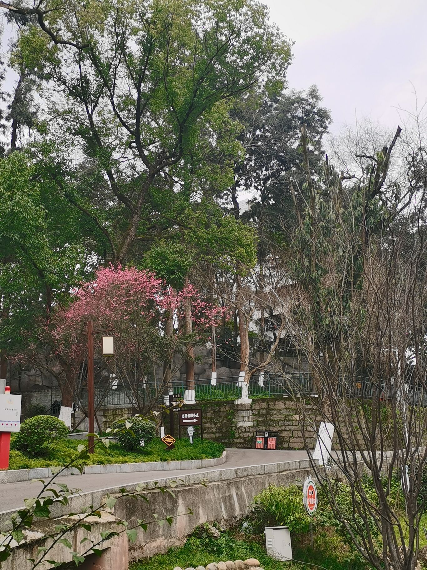人民公园旅行图片 3