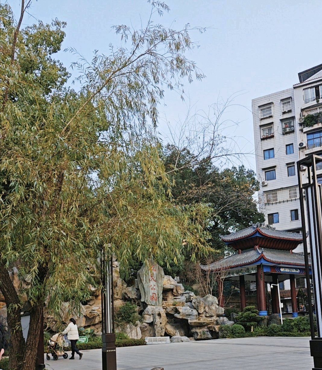 人民公园旅行图片 3