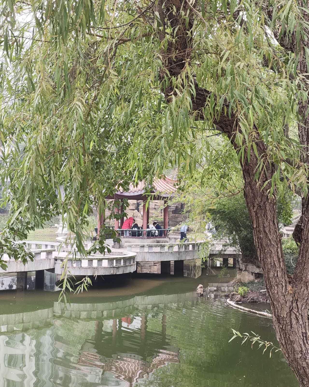 人民公园旅行图片 1
