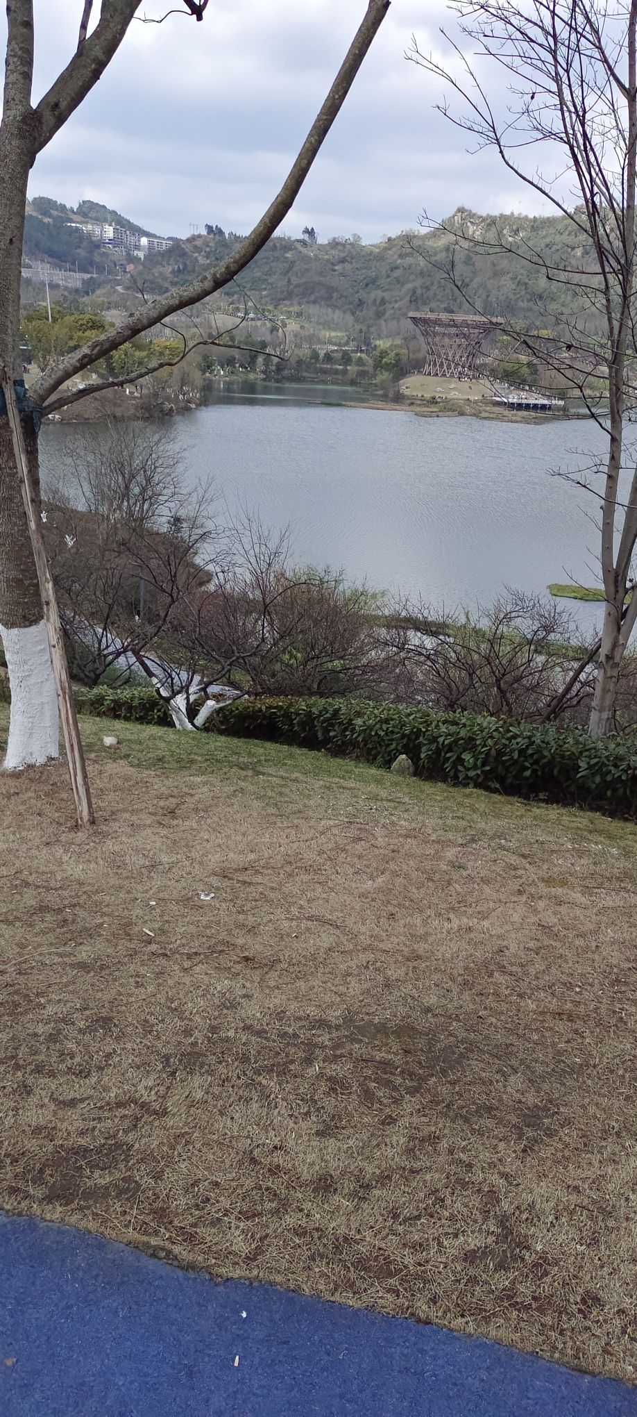 莲花湖湿地公园旅行图片 1