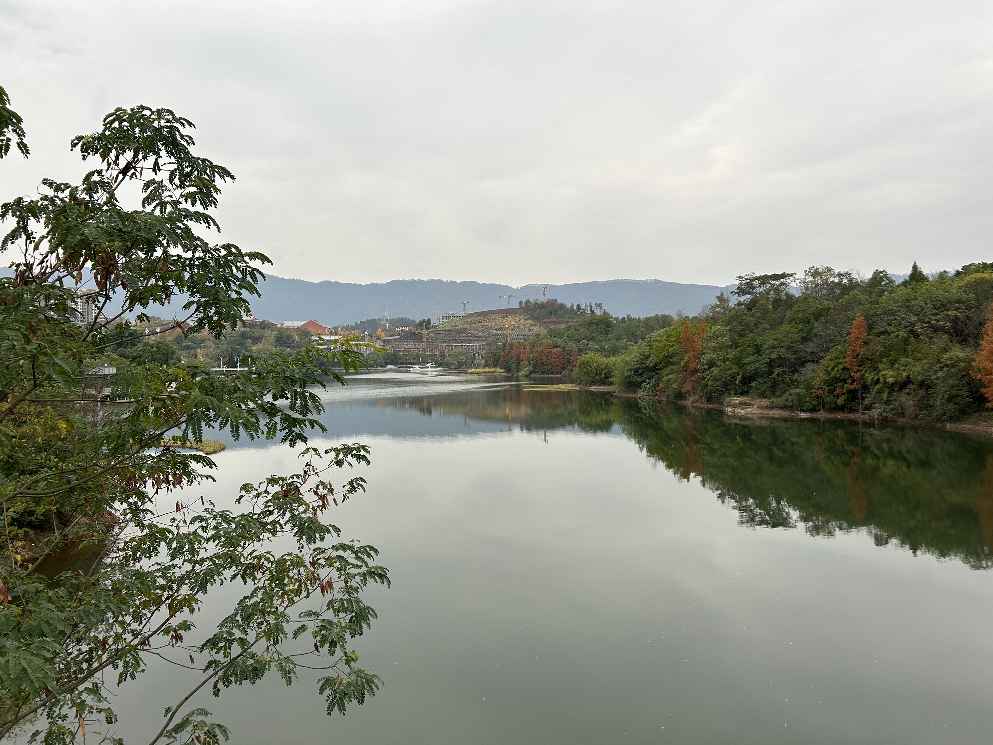 莲花湖湿地公园旅行图片 2