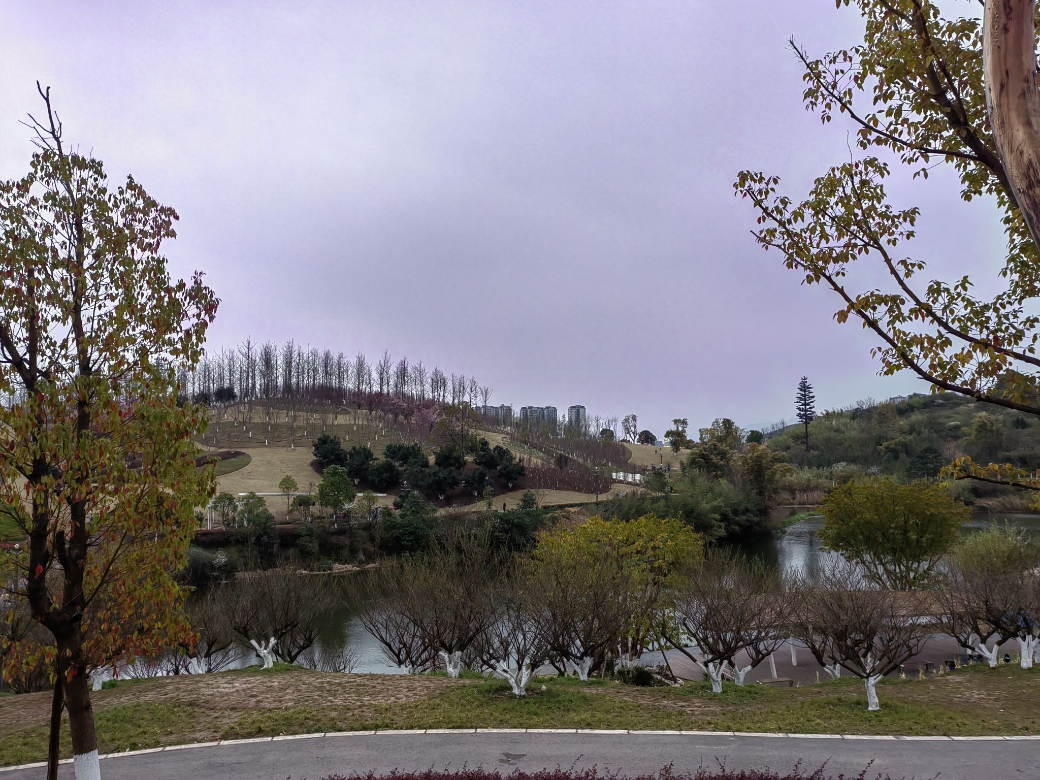 莲花湖湿地公园旅行图片 1