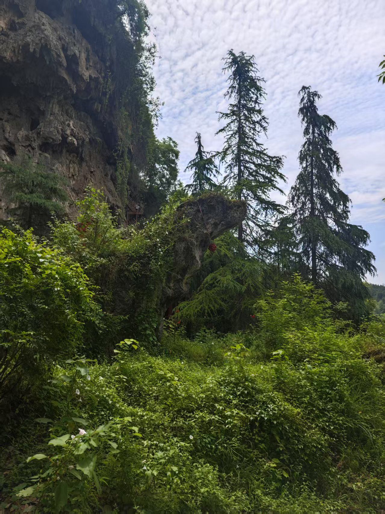 賨人谷风景名胜区旅行图片 1