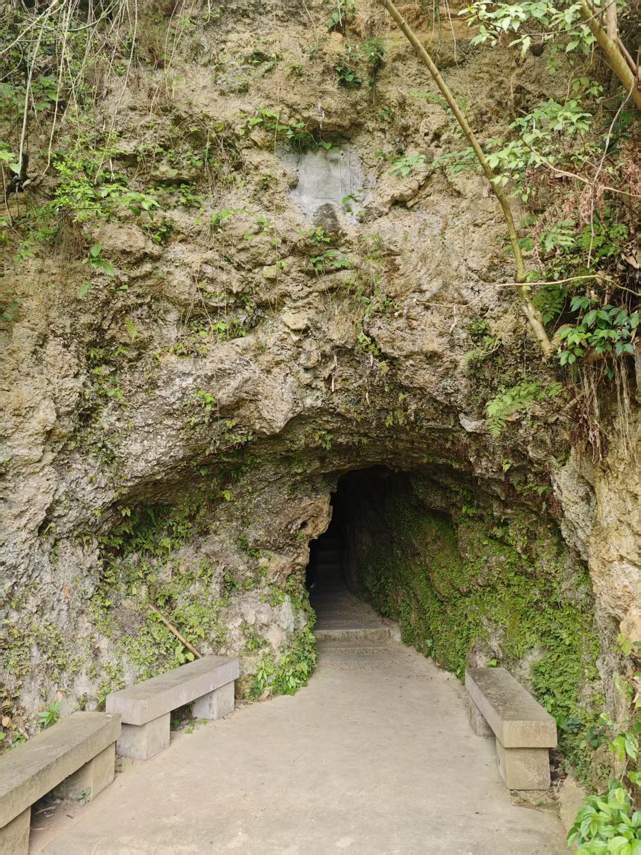 賨人谷风景名胜区旅行图片 3