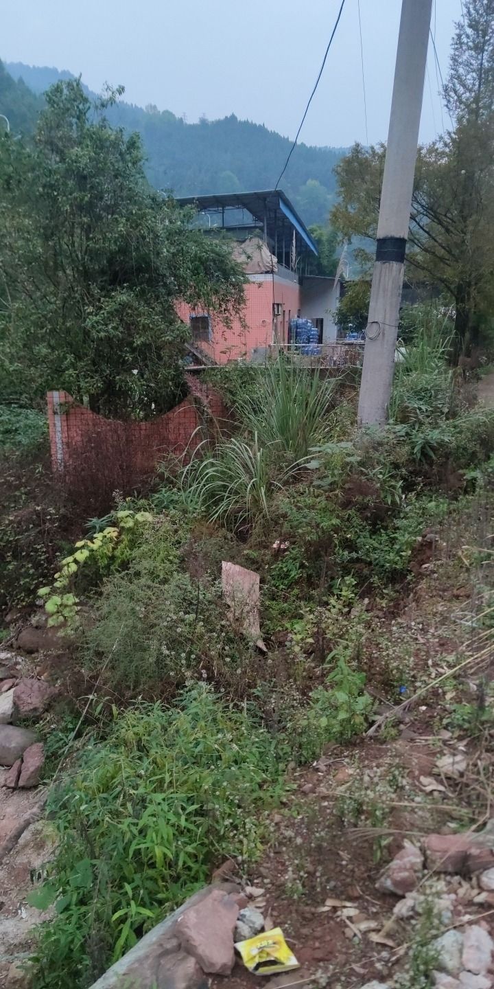 龙凤峡山泉