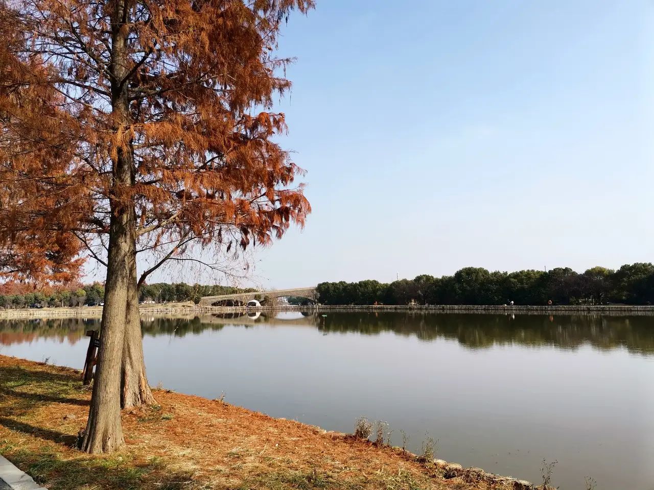 五峰山国家森林公园旅行图片 3