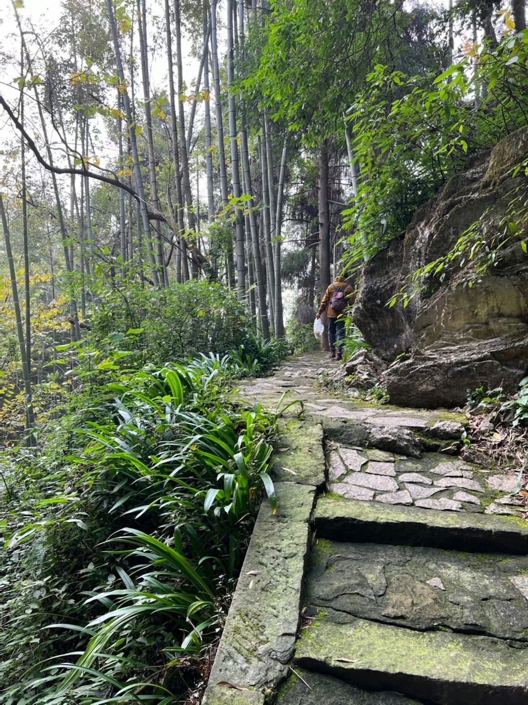五峰山国家森林公园旅行图片 3