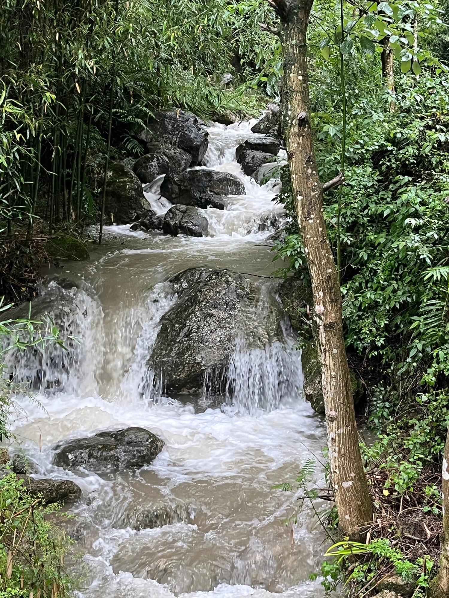 万源市龙潭河省级风景名胜区(暂停开放)旅行图片 2
