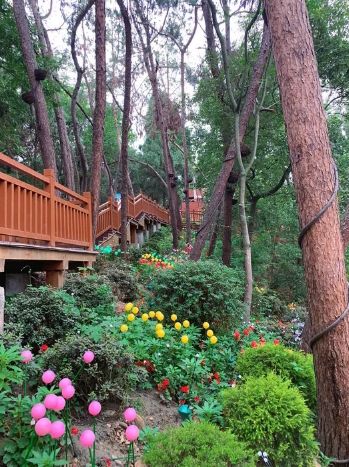 射洪市花果山风景区旅行图片 2