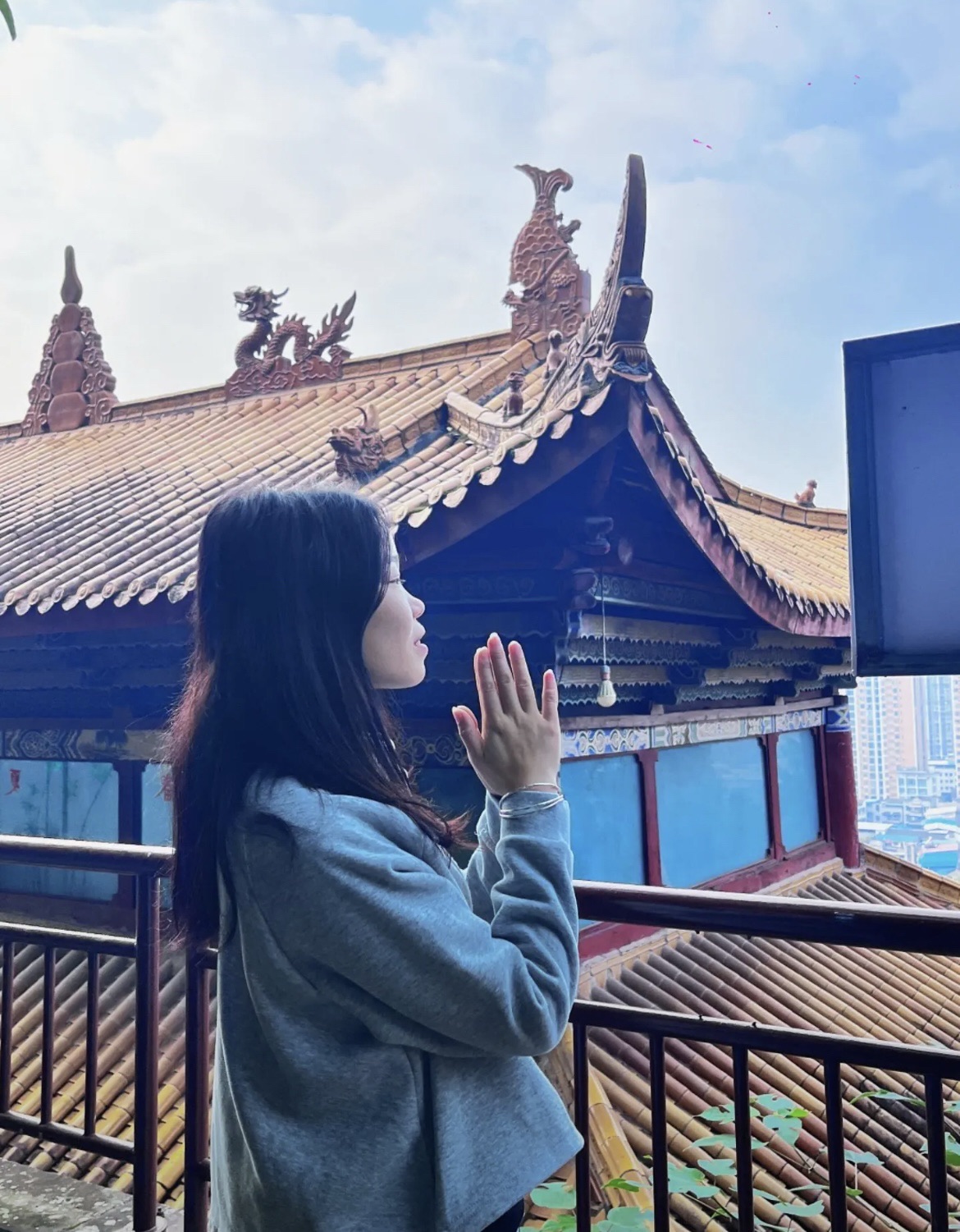 蓬莱公园旅行图片 1