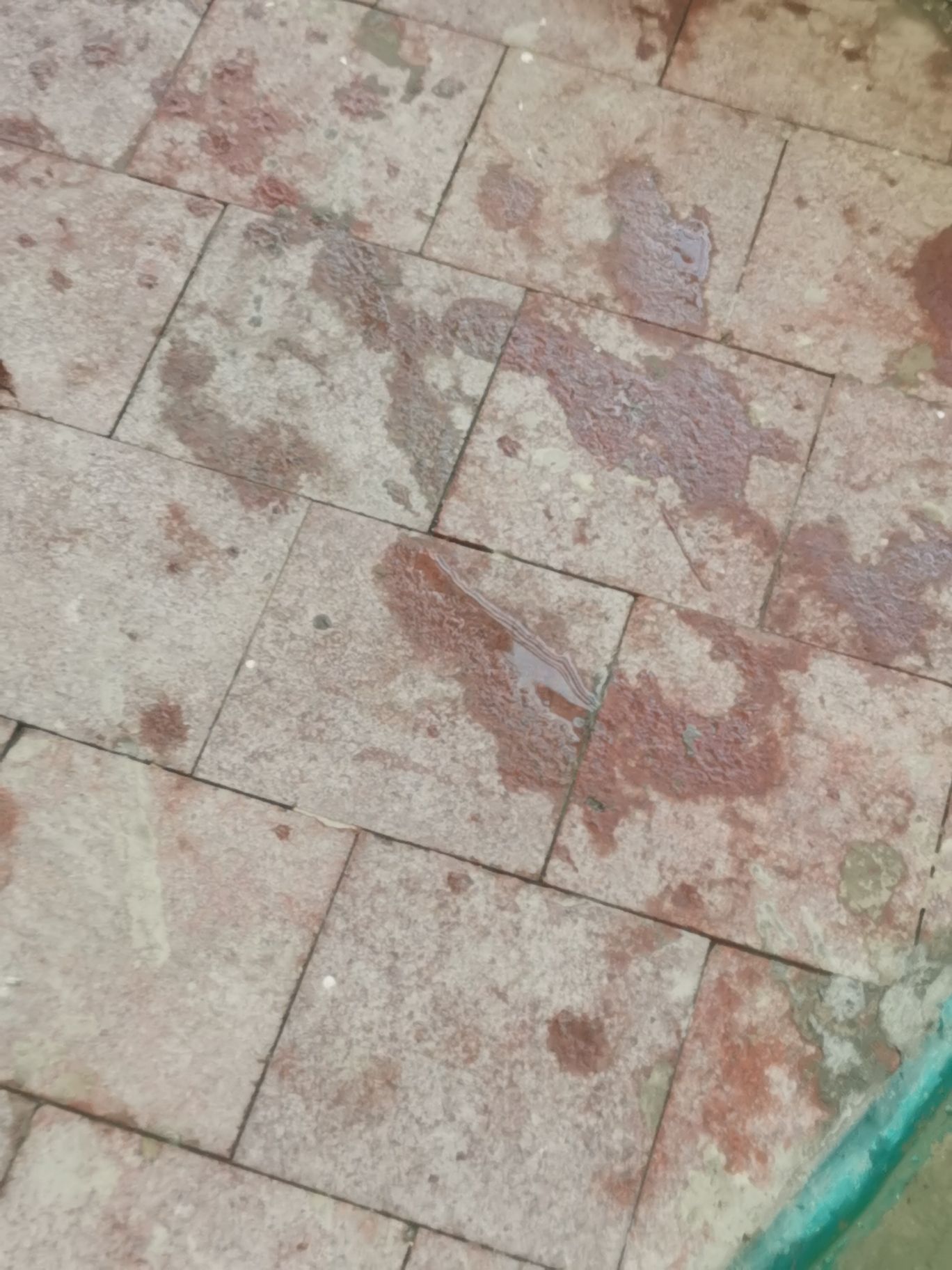 中国死海旅游度假区(暂停开放)旅行图片 3