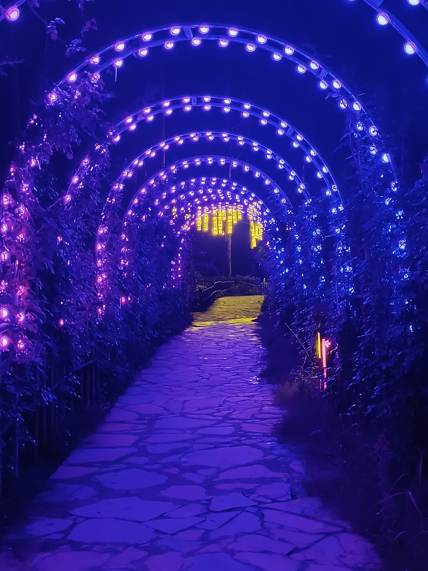 桃花山旅行图片 3