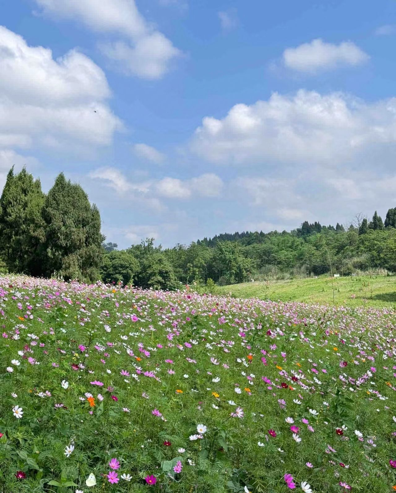 卧龙山公园