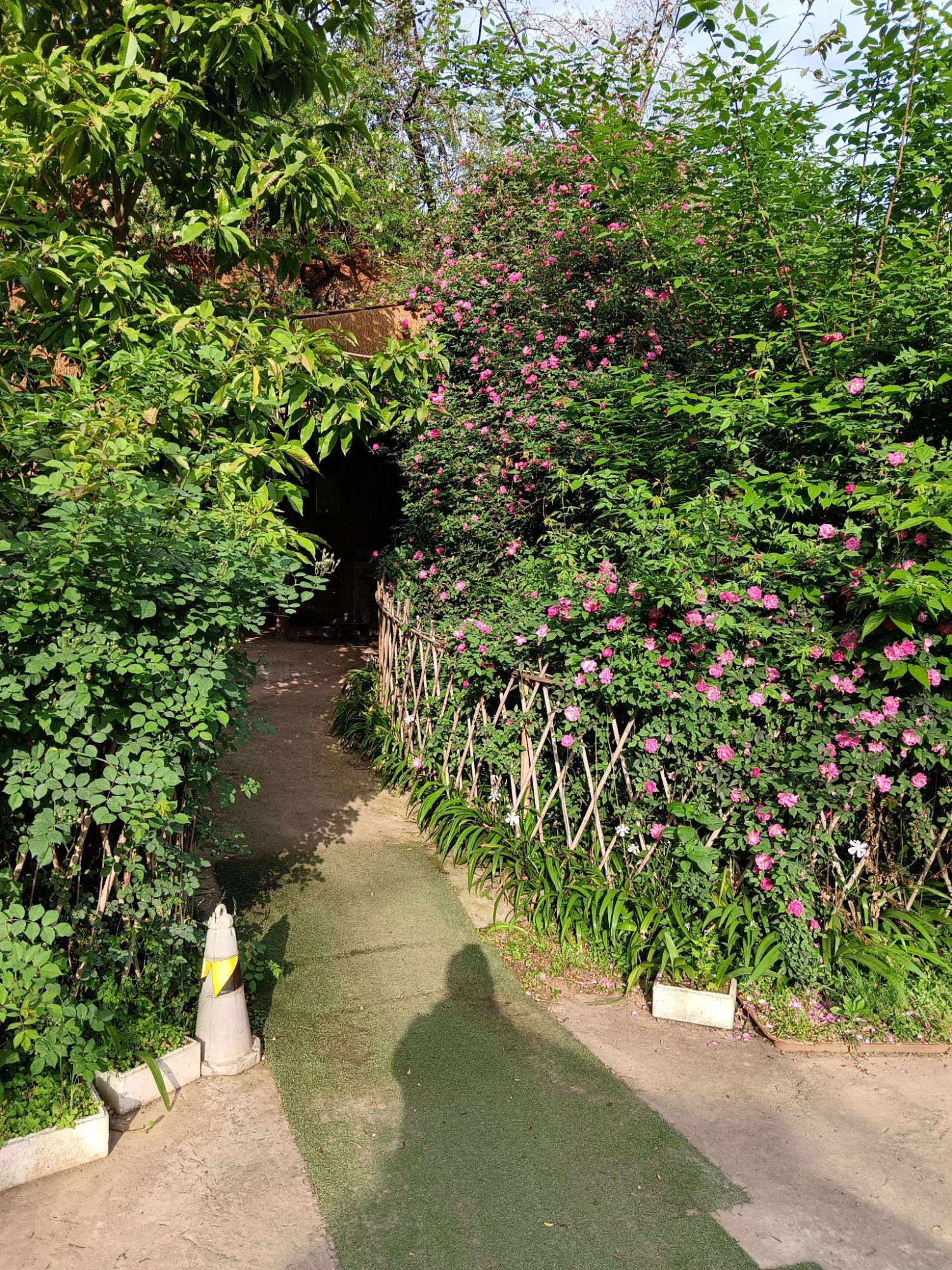 万金山公园旅行图片 3