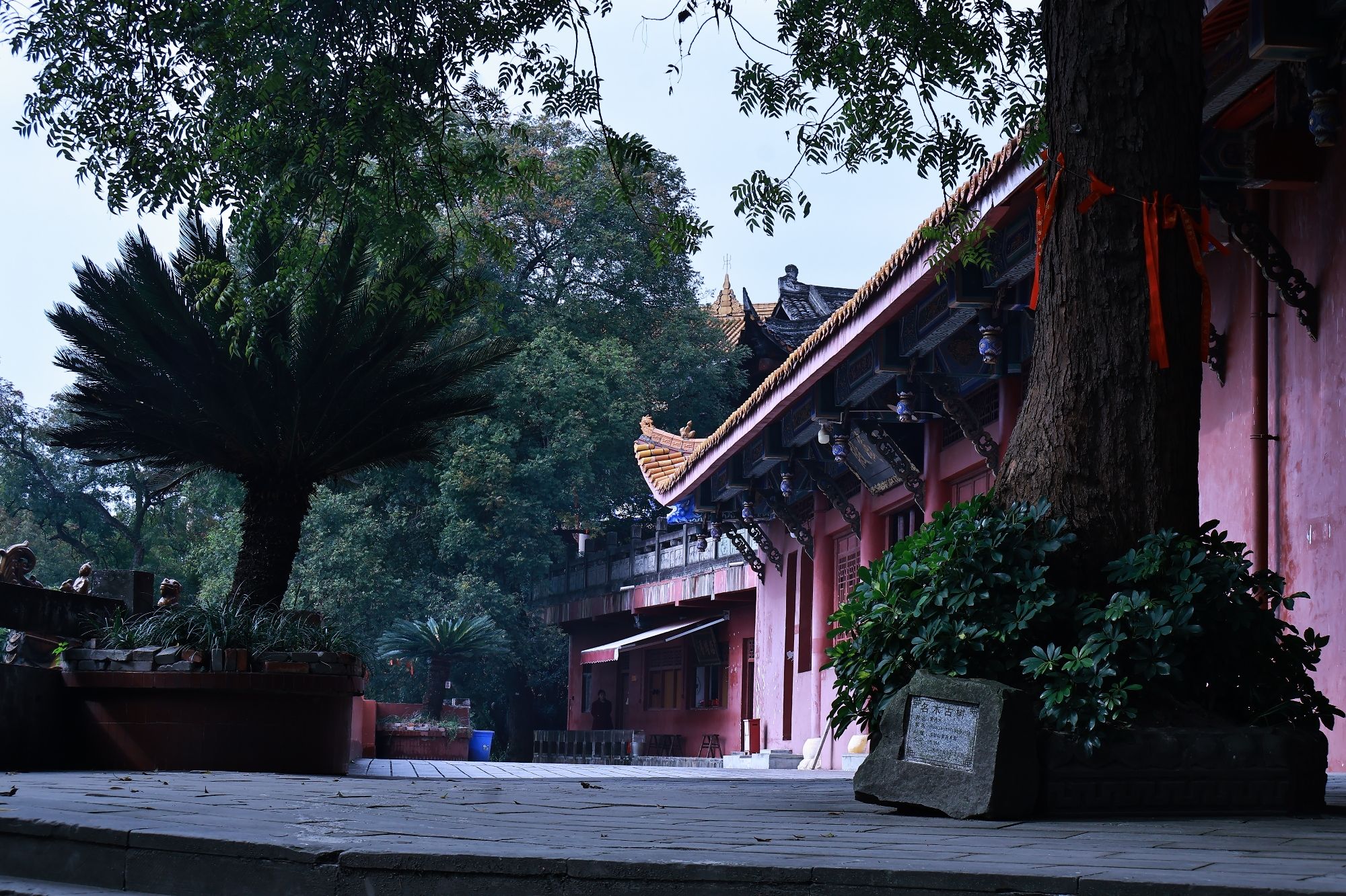 观音故里旅行图片 3