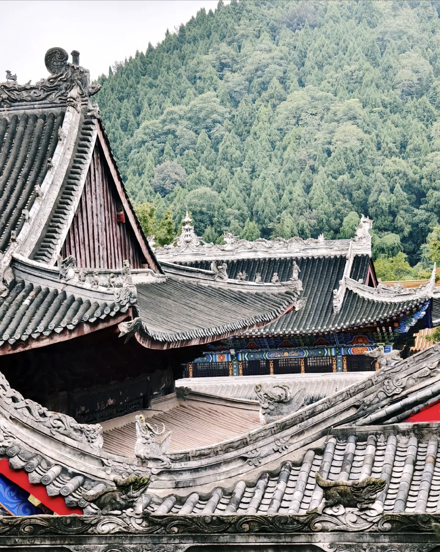 观音故里旅行图片 2