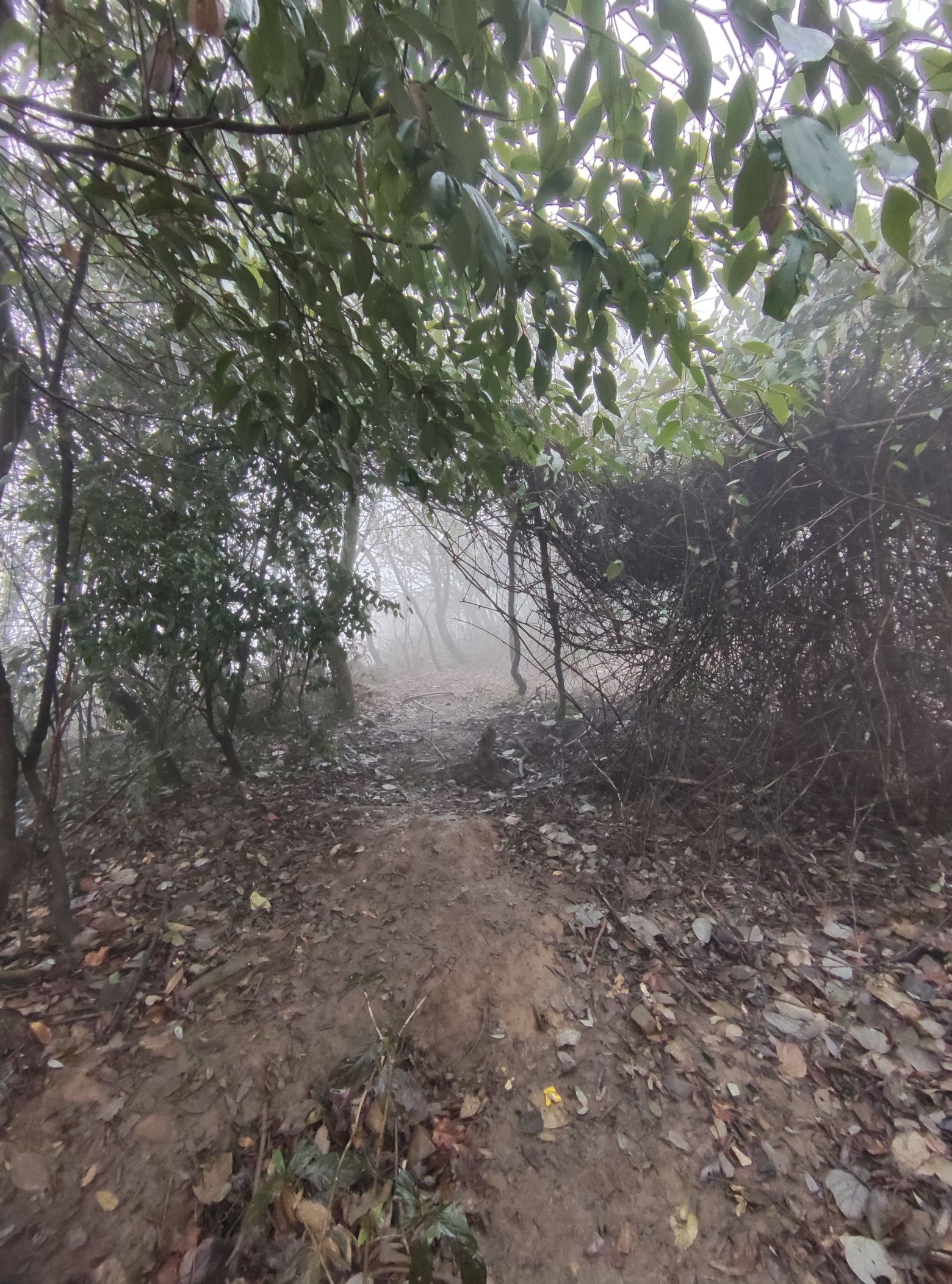 宝鼎风景区旅行图片 3