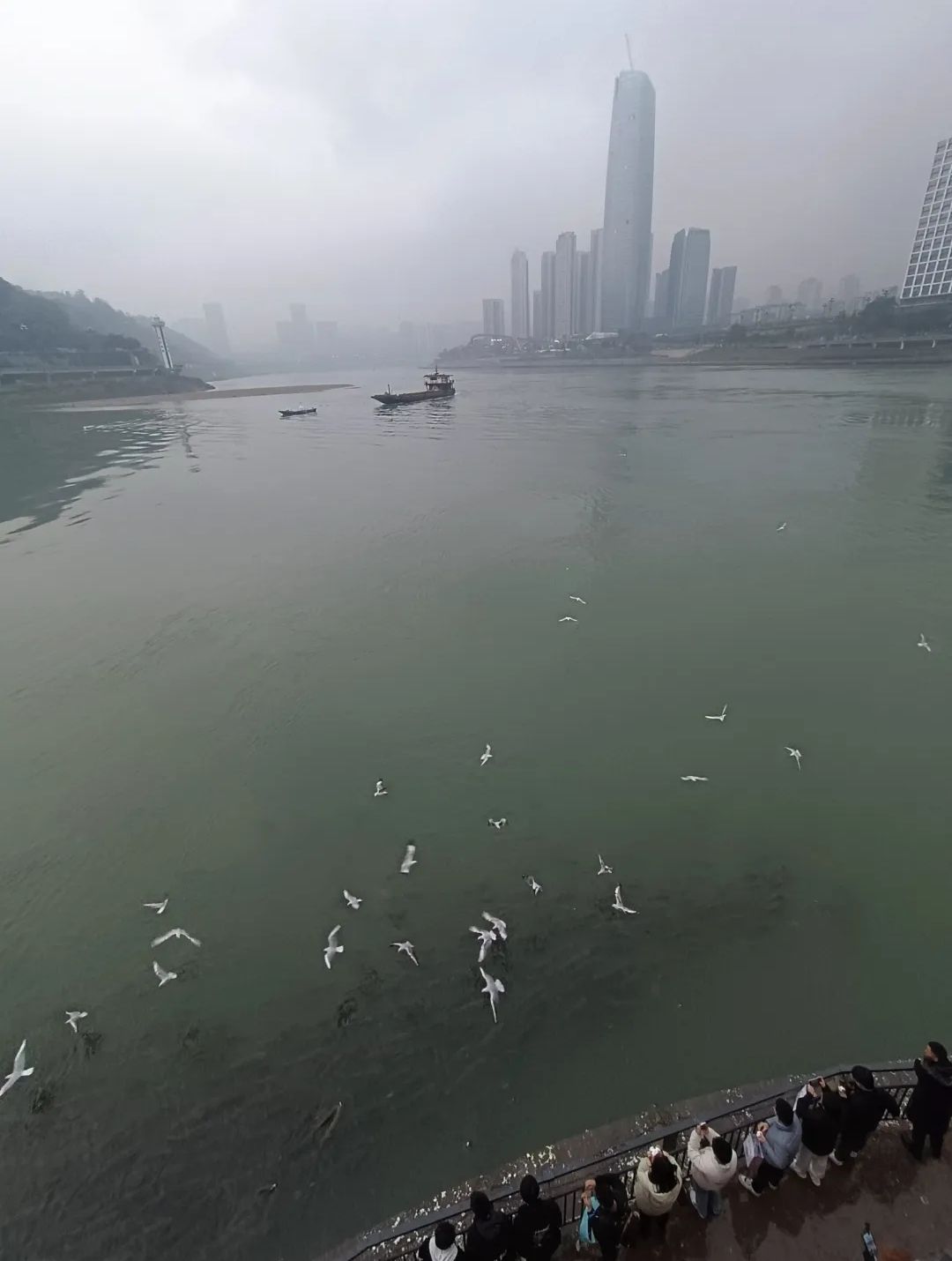 萃屏公园旅行图片 2